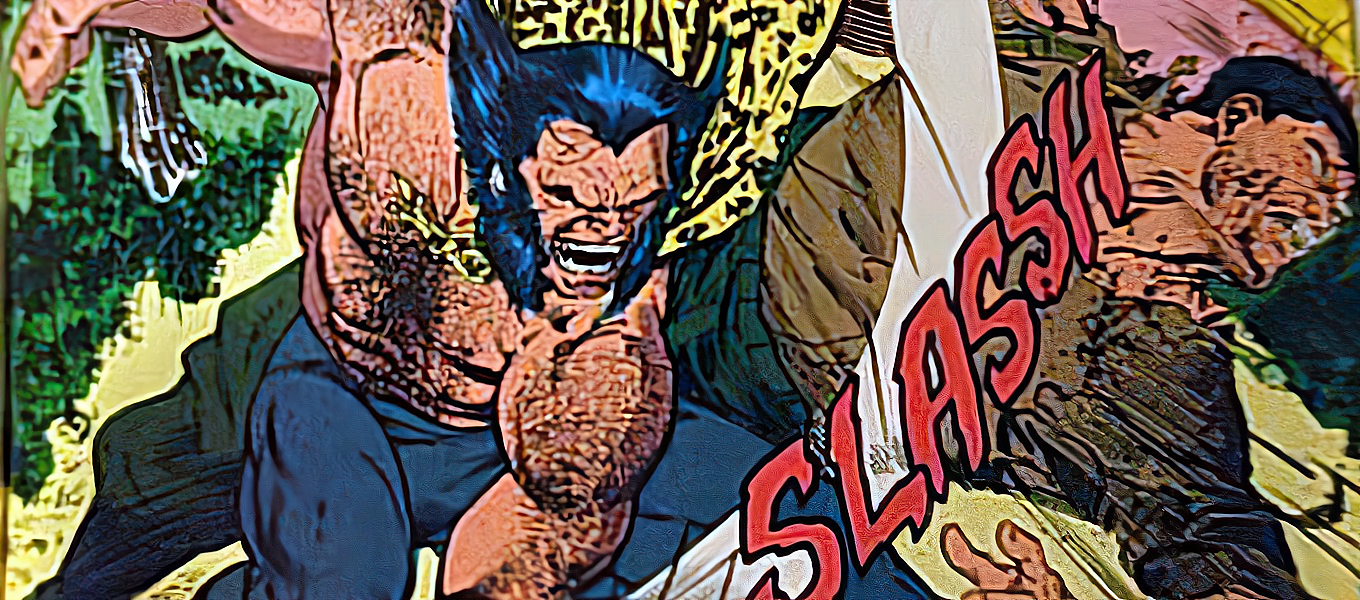 Wolverine vs Punisher