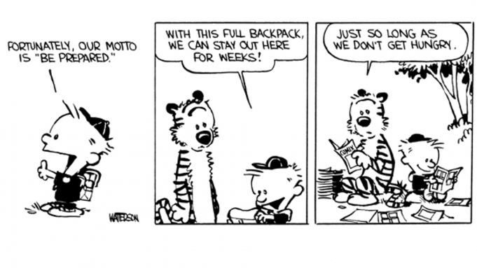 Calvin and Hobbes Comic Books