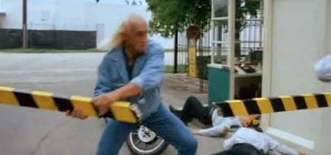 Hulk Hogan Movies Nanny