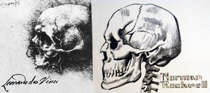 Side view of skull