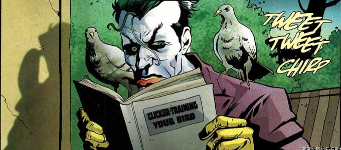 Joker becomes a bird whisperer